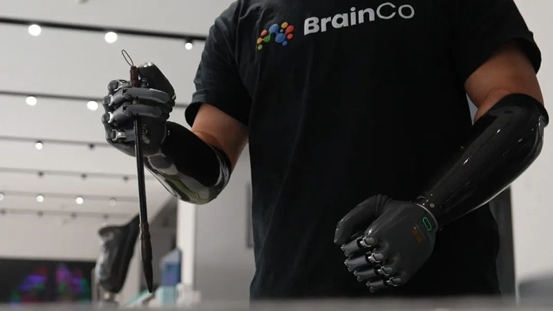 企业搜索多语言功能如何实现高效对比