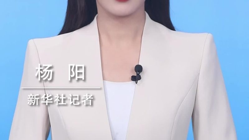 政府数据治理标准规范：制定指南与实施要点